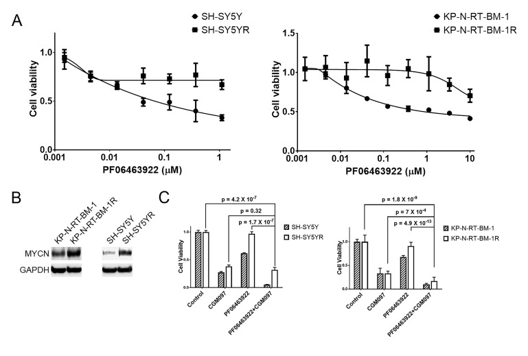 Figure 5—figure supplement 1.