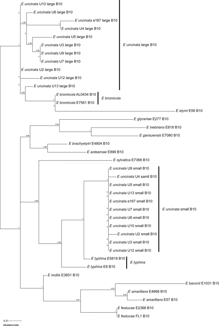 Fig 5