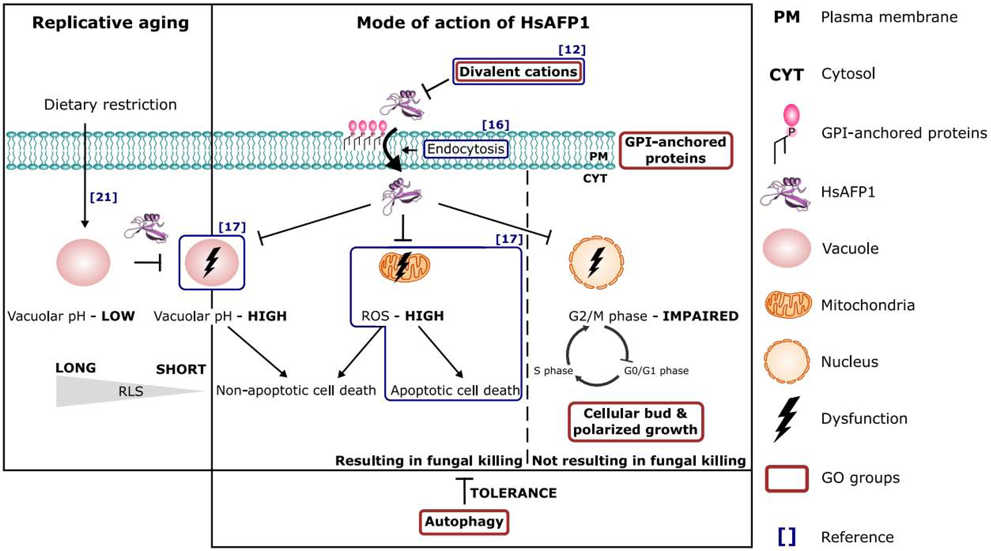 Figure 7: