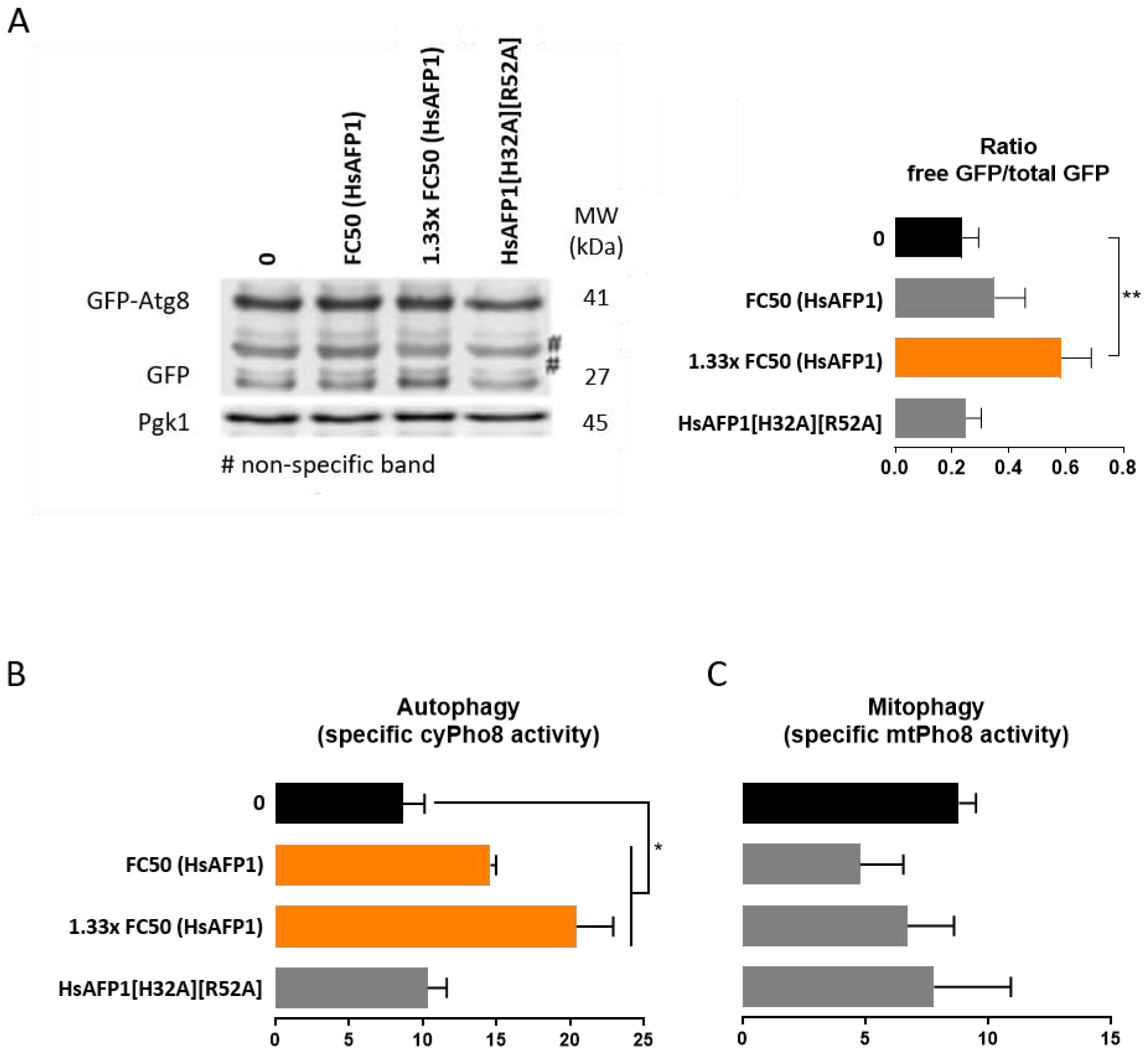 Figure 4: