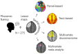 Graphical Abstract
