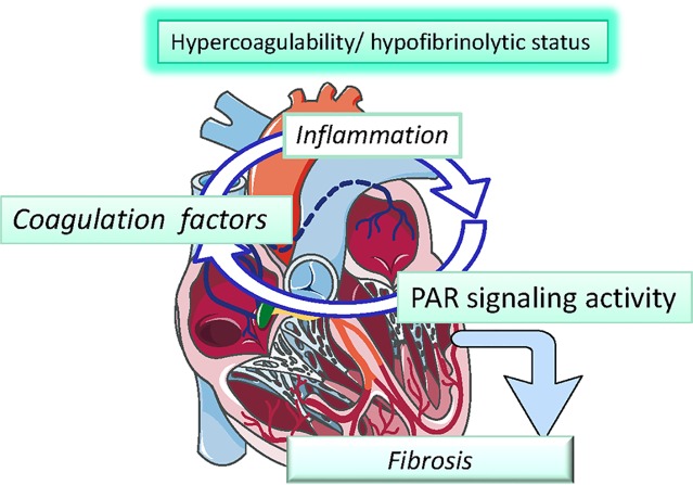 Graphical Abstract