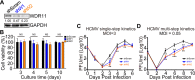 FIG 2