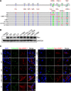 FIG 6