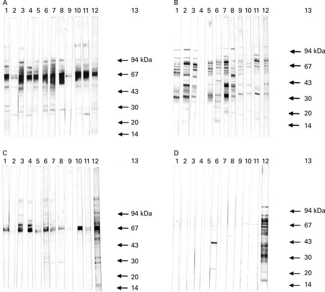 Figure 2  