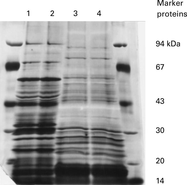 Figure 1  