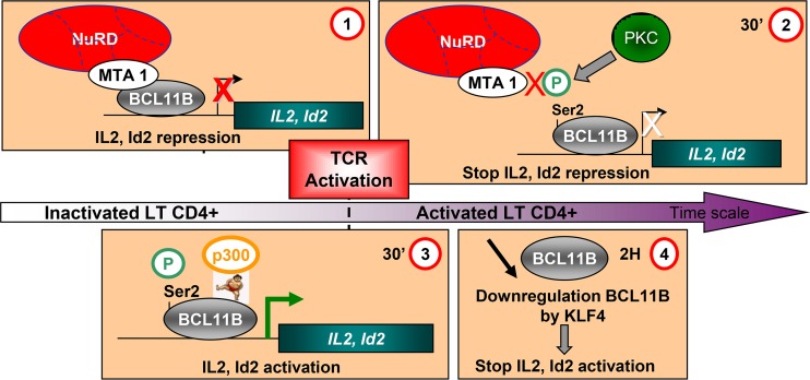 FIG 11