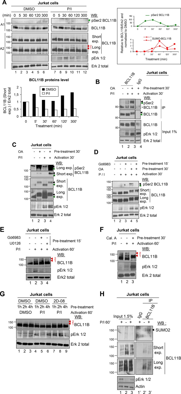 FIG 6