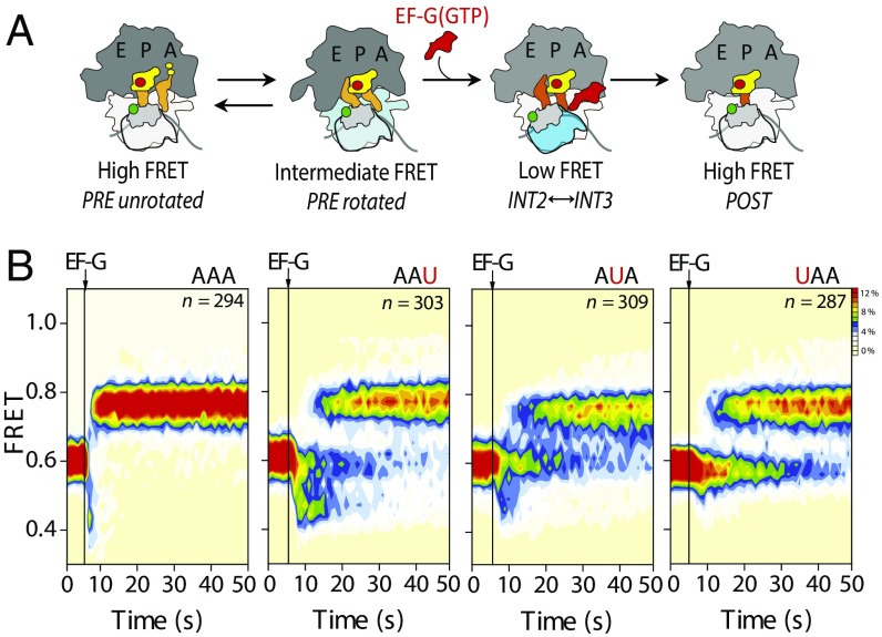 Fig. 4.