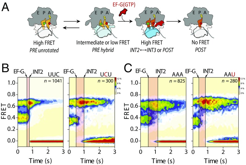 Fig. 3.