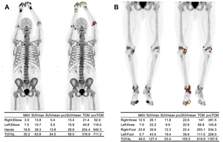 Fig. 8