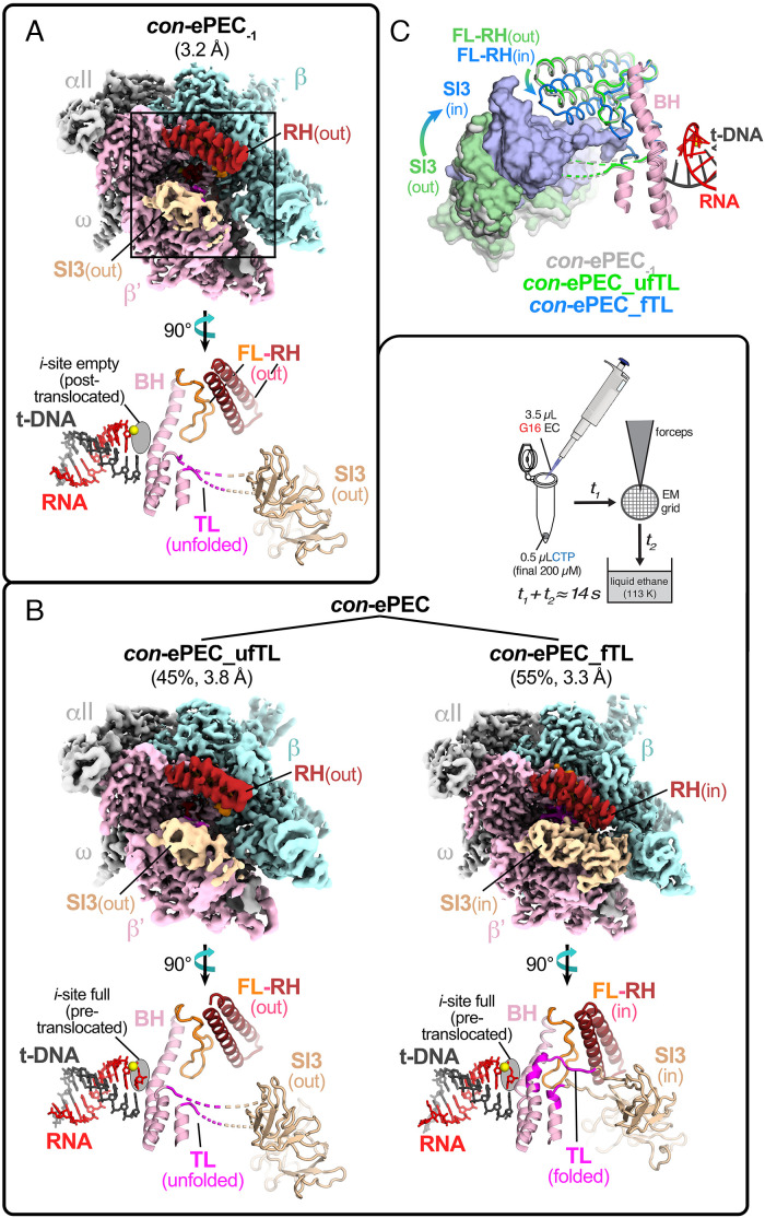 Fig. 2.