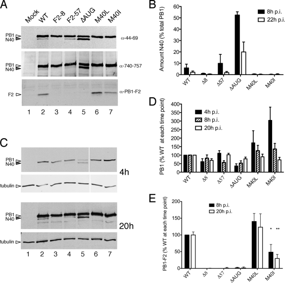 FIG. 2.