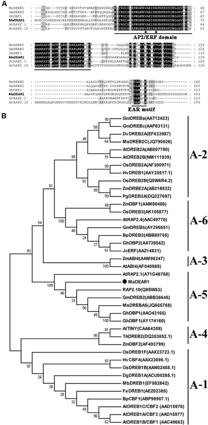 FIGURE 1