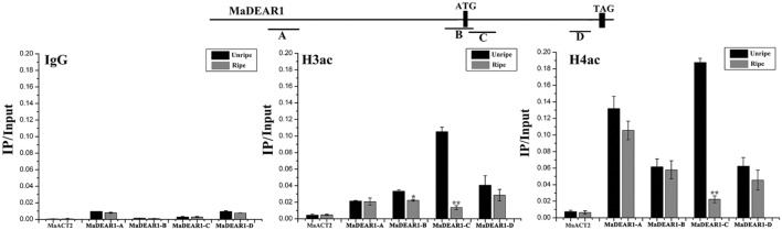 FIGURE 4