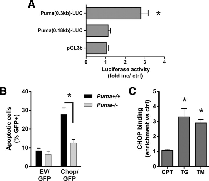 Figure 11.