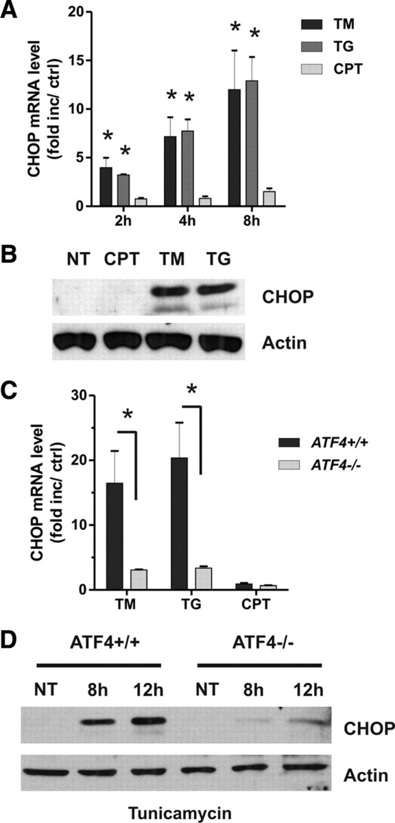 Figure 9.