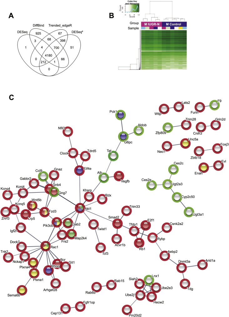 Figure 3