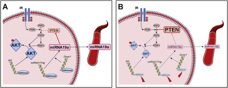 Figure 6