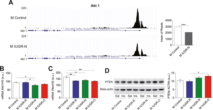 Figure 4