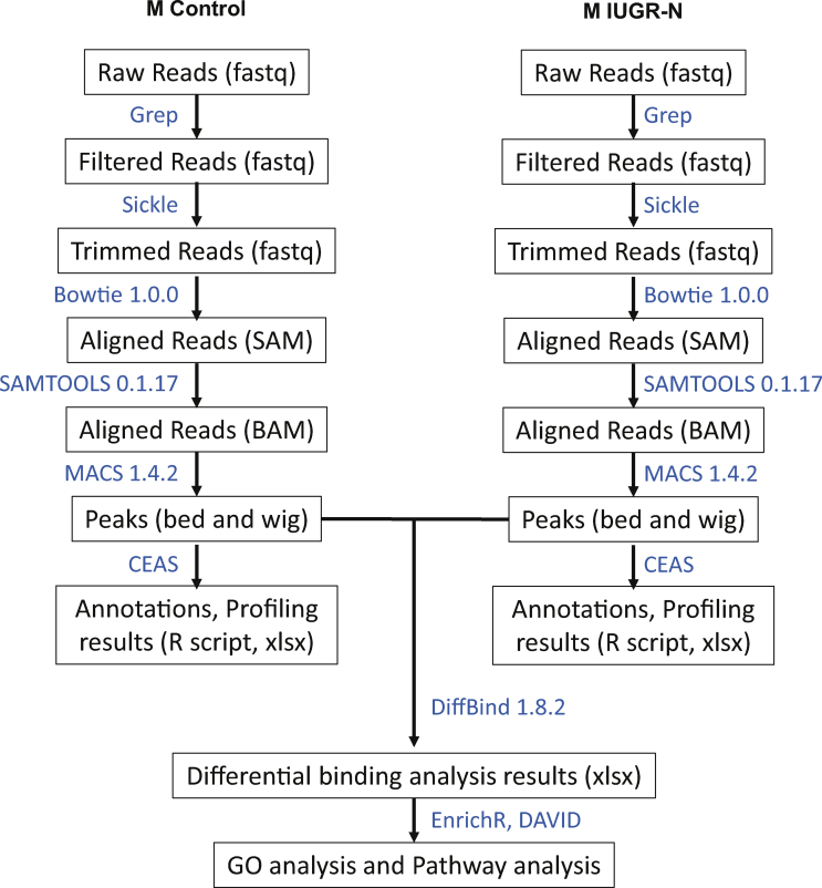 figs2