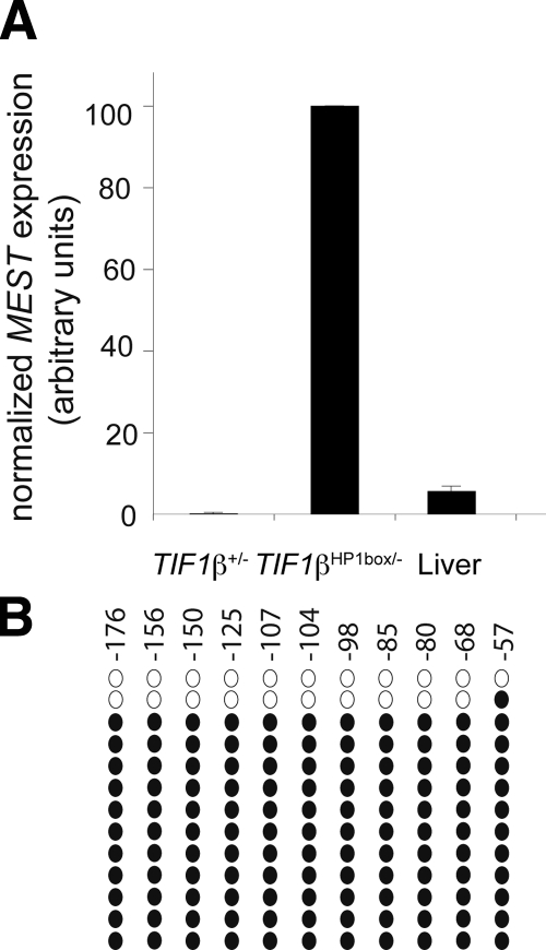 Figure 6.