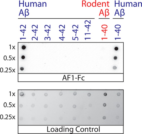 Figure 7.