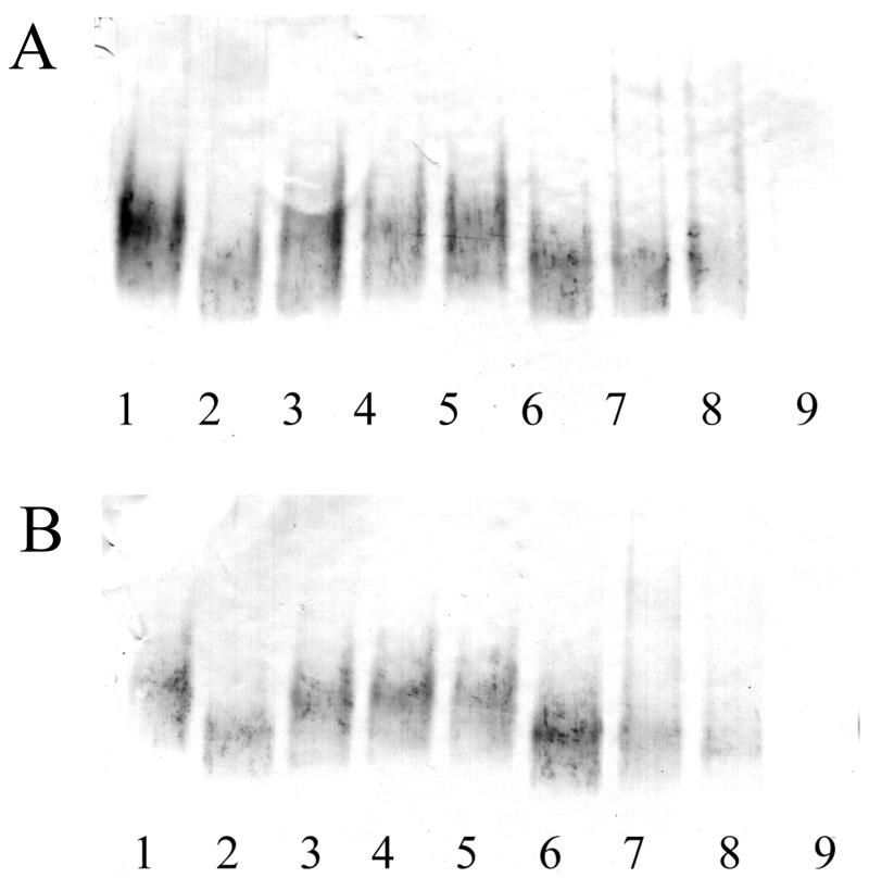 FIG. 6