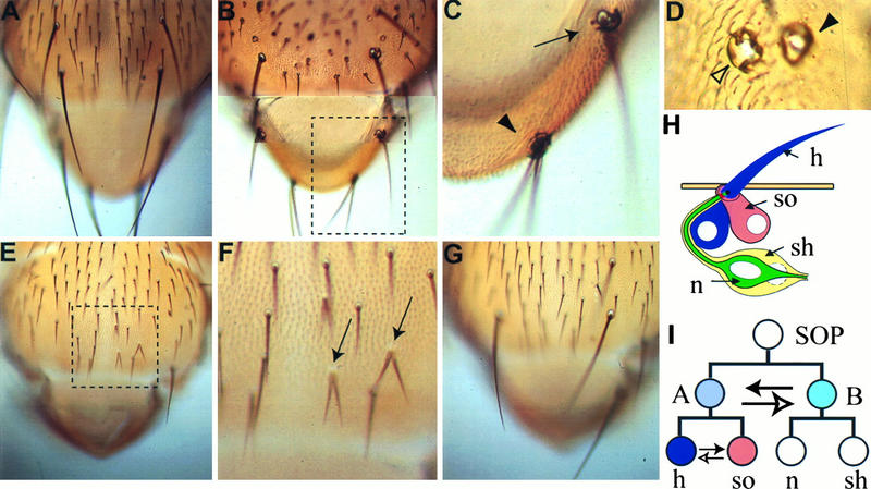 FIG. 8