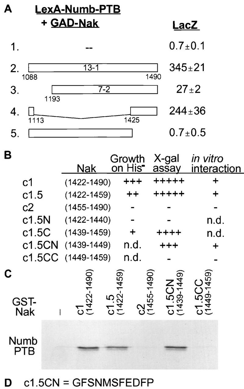 FIG. 4