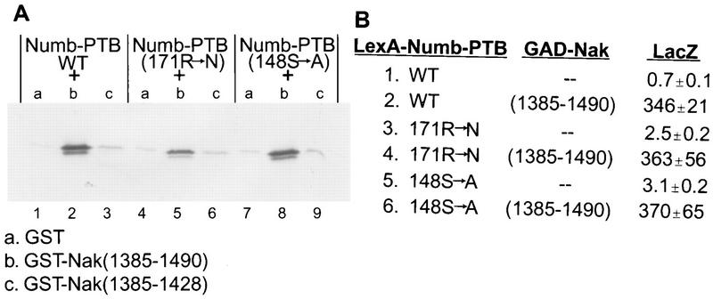 FIG. 3