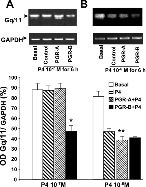 Fig. 10.