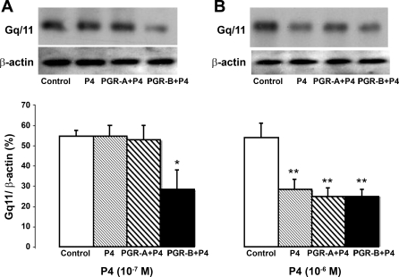 Fig. 11.