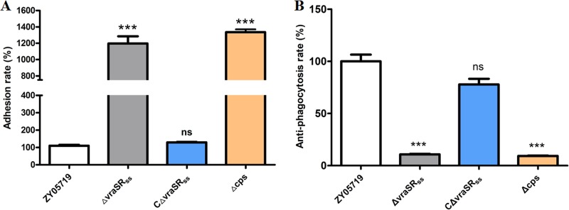 FIG 6