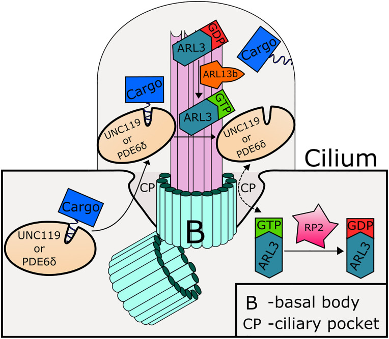 Fig. 2.