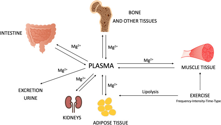 Fig. 2