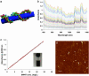 Fig. 1.