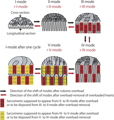 Figure 18