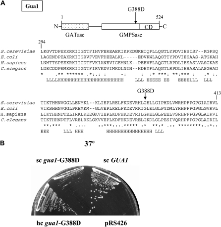 Figure 3.—