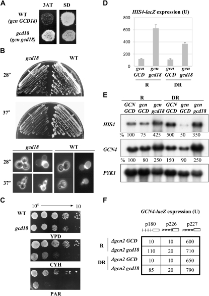 Figure 2.—