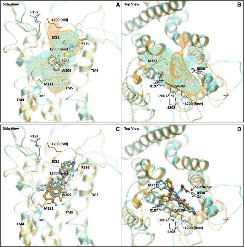 Fig. 7.