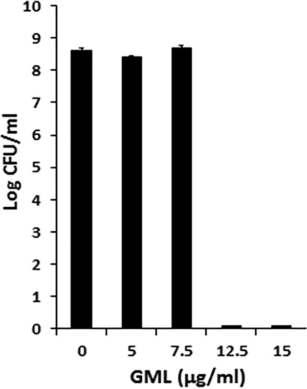 FIG 3