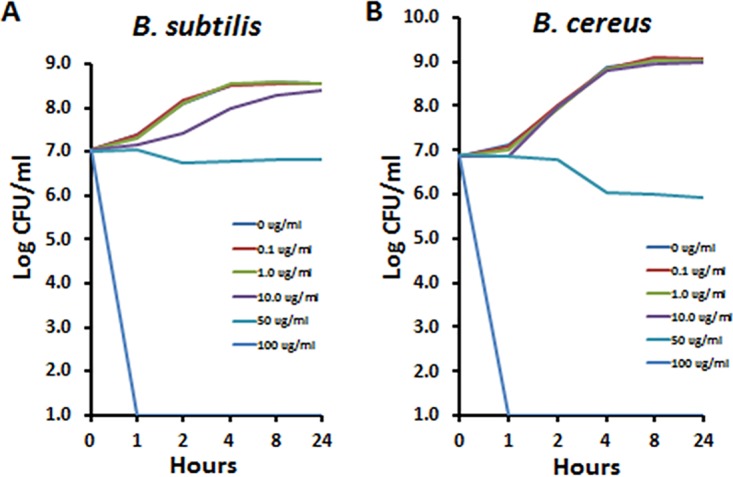 FIG 1