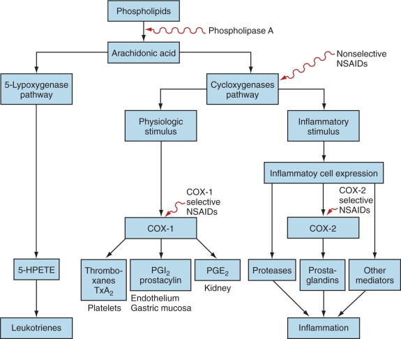 Figure 20-2
