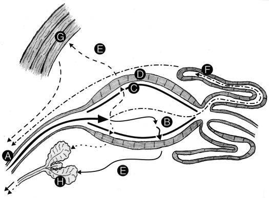 FIG. 1