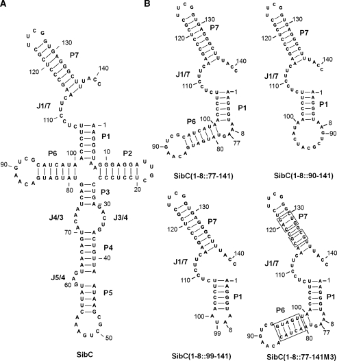 Figure 3.