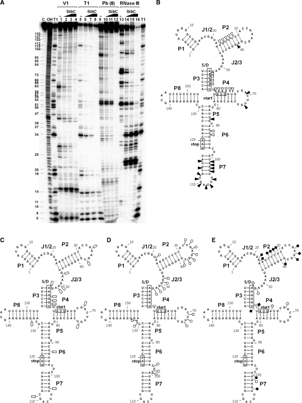 Figure 7.