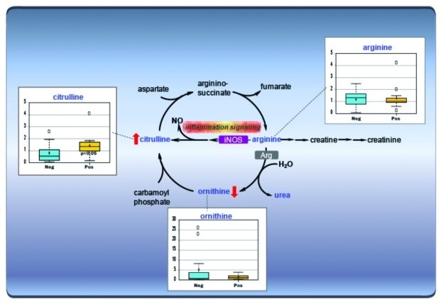 graphic file with name gmic-3-35-g4.jpg