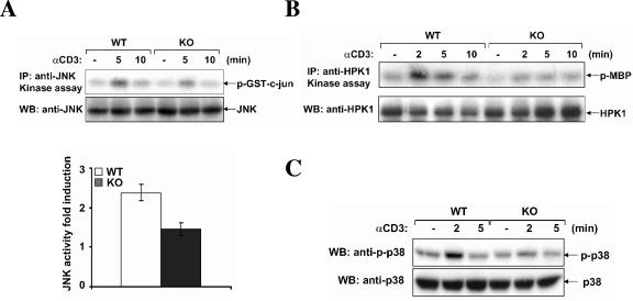 FIG. 8.