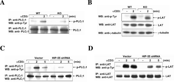 FIG. 9.